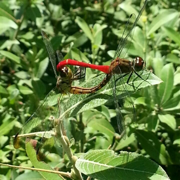 프로그램찾기 이미지