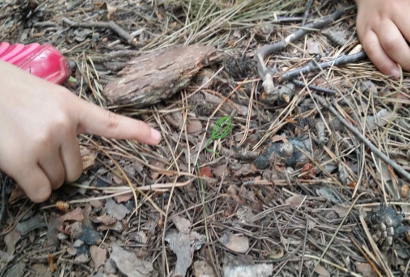 프로그램찾기 이미지