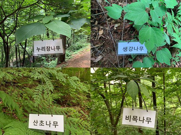 프로그램찾기 이미지