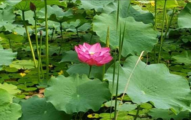 프로그램찾기 이미지