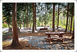 기관대표이미지