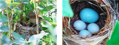 프로그램찾기 이미지