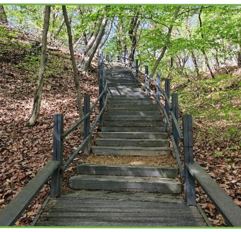 프로그램찾기 이미지