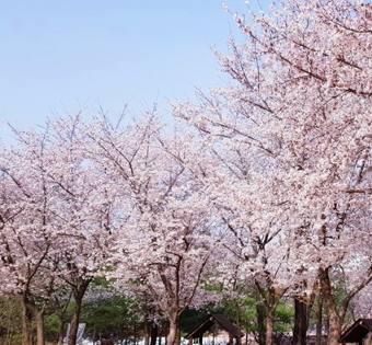 프로그램찾기 이미지