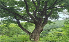 프로그램찾기 이미지