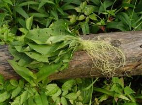 프로그램찾기 이미지