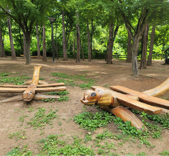 기관대표이미지