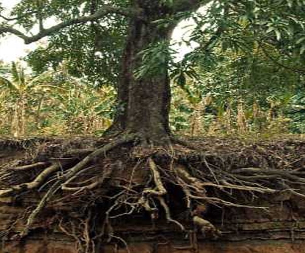 프로그램찾기 이미지