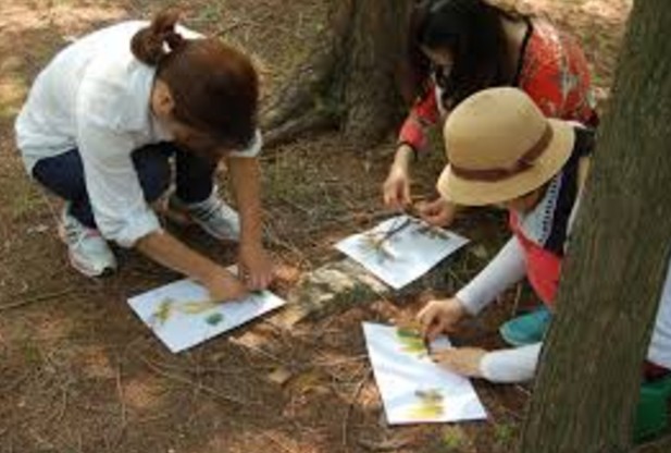 프로그램찾기 이미지