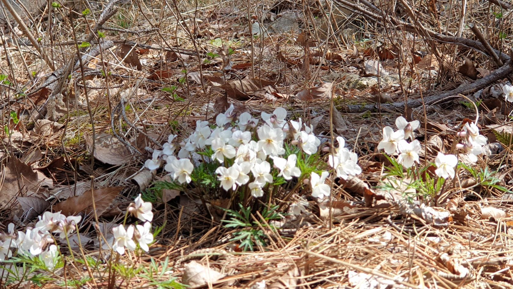 프로그램찾기 이미지