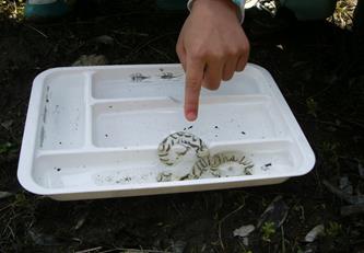 프로그램찾기 이미지