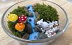 숲교육포털 메인화면 이미지