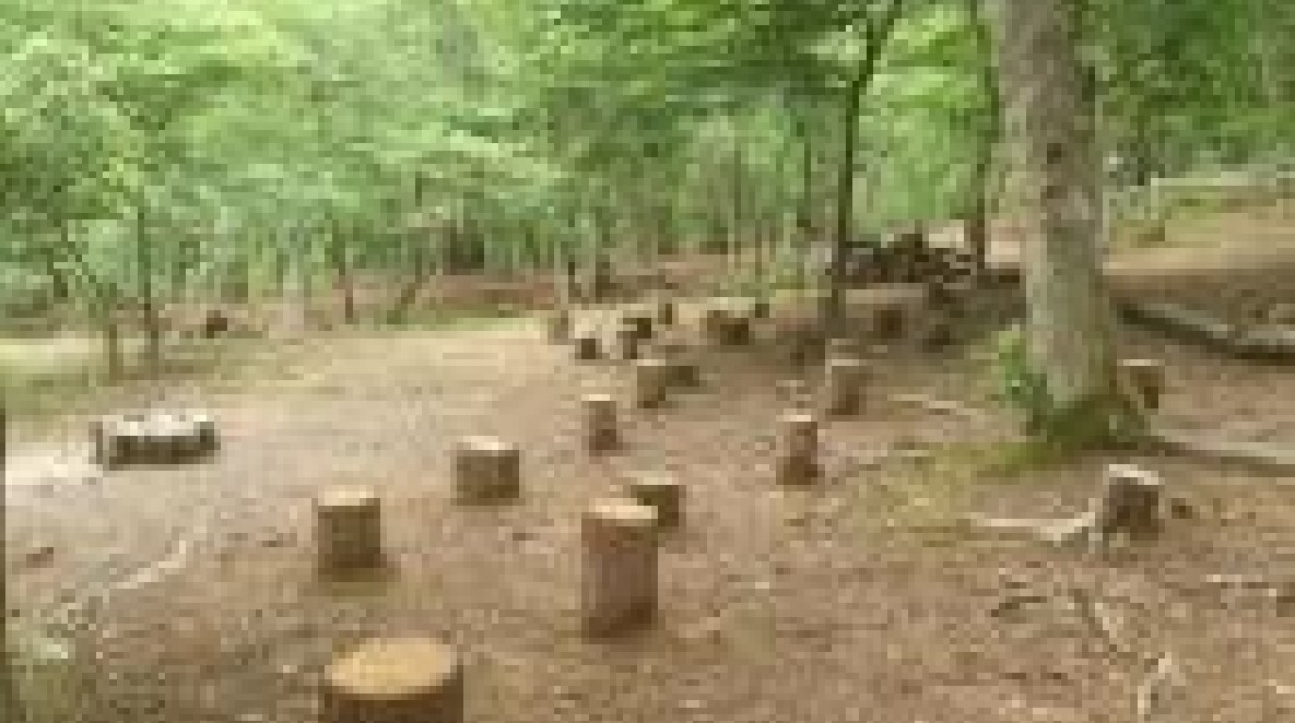 프로그램찾기 이미지