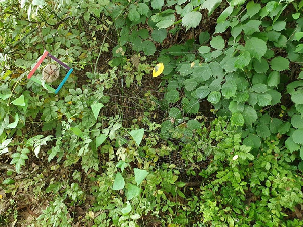 프로그램찾기 이미지