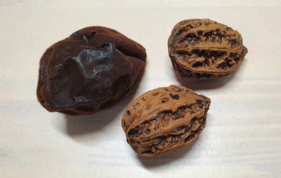 프로그램찾기 이미지