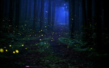 프로그램찾기 이미지