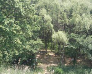 프로그램찾기 이미지