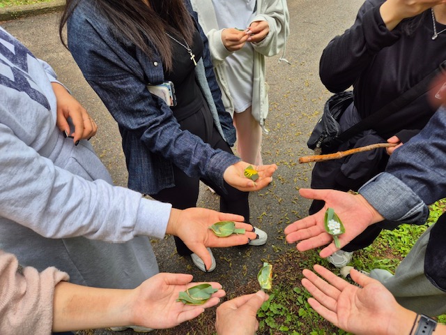 프로그램찾기 이미지