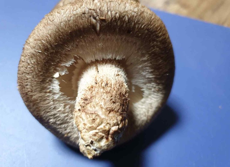 프로그램찾기 이미지