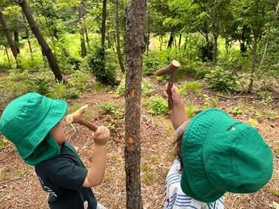 프로그램찾기 이미지