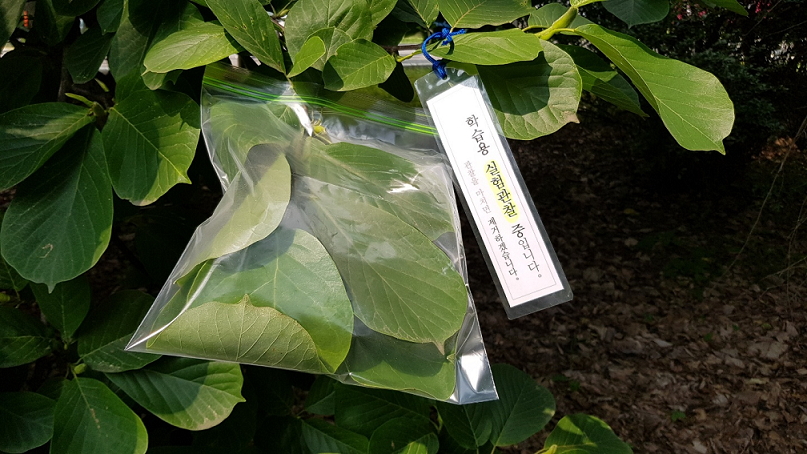 프로그램찾기 이미지