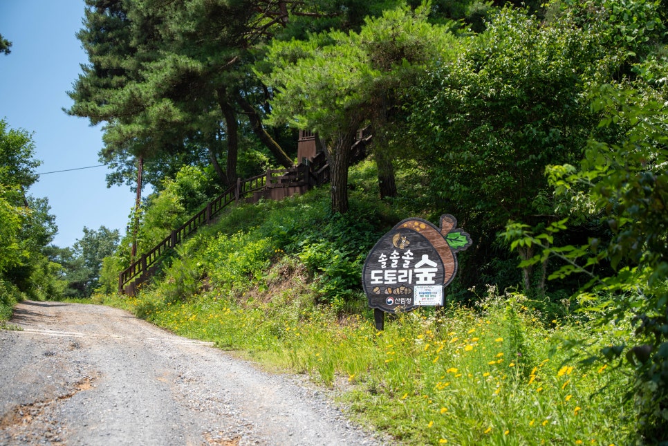 기관대표이미지