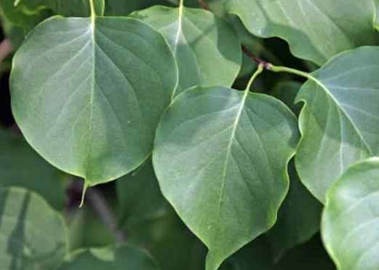 프로그램찾기 이미지