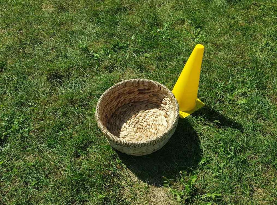 프로그램찾기 이미지