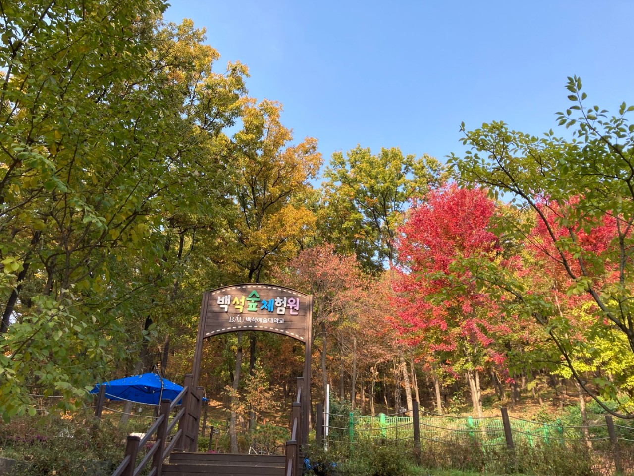 기관대표이미지