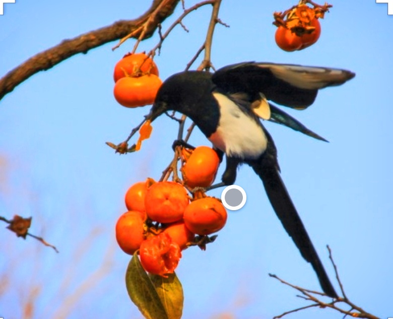 프로그램찾기 이미지