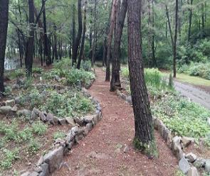 프로그램찾기 이미지