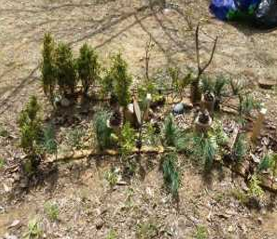 프로그램찾기 이미지