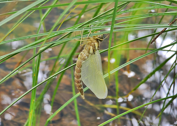 프로그램찾기 이미지