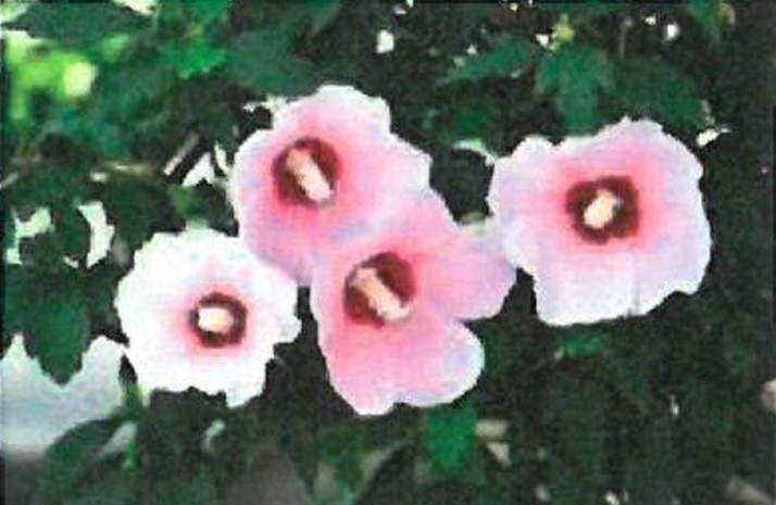 프로그램찾기 이미지