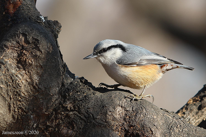 프로그램찾기 이미지