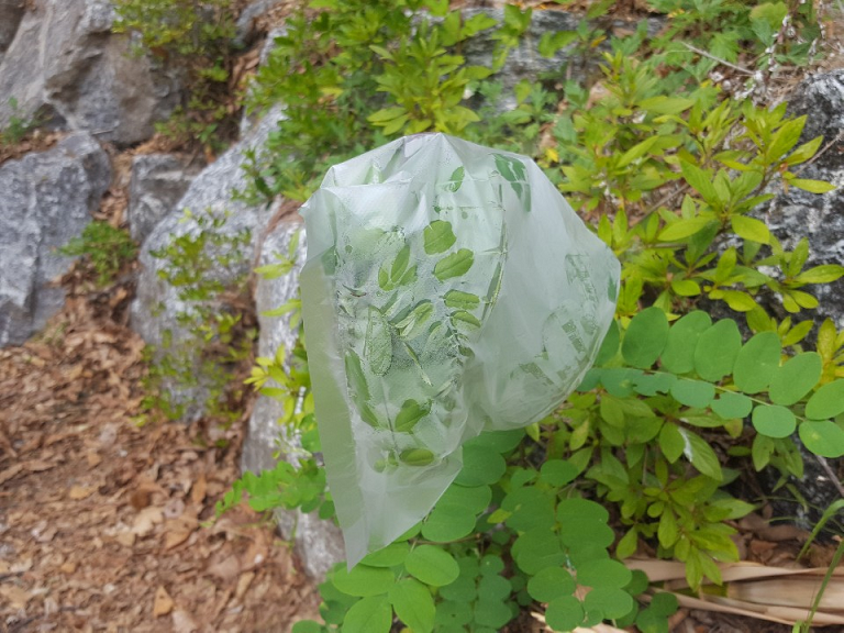 프로그램찾기 이미지