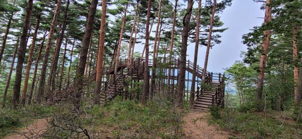 프로그램찾기 이미지