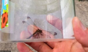 프로그램찾기 이미지