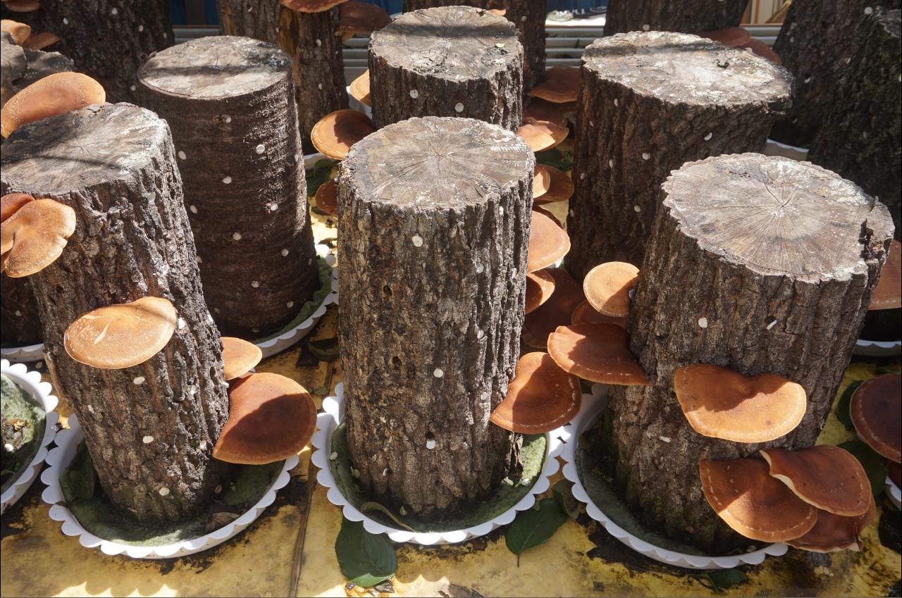 프로그램찾기 이미지