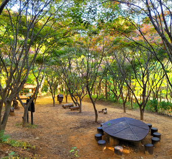 기관대표이미지