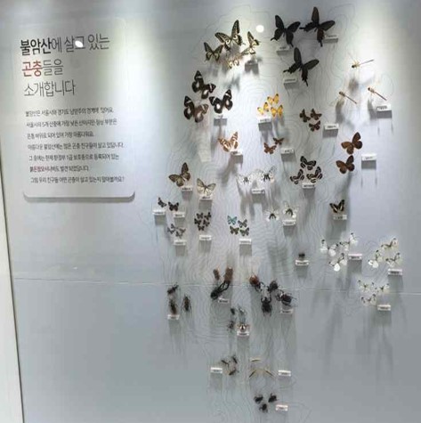 프로그램찾기 이미지