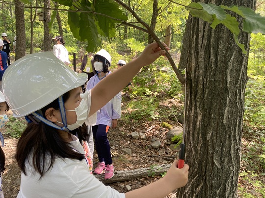 프로그램찾기 이미지