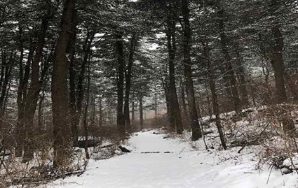 프로그램찾기 이미지