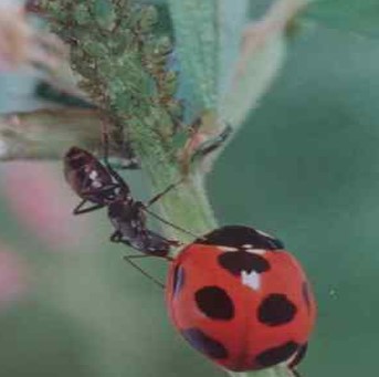 프로그램찾기 이미지