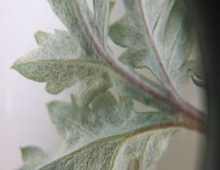 프로그램찾기 이미지