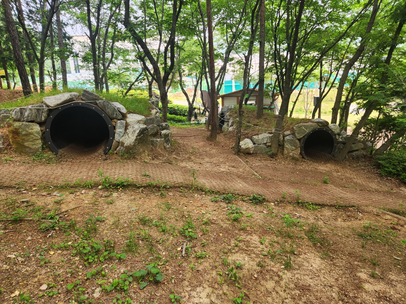 기관대표이미지