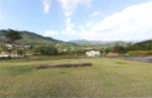 프로그램찾기 이미지