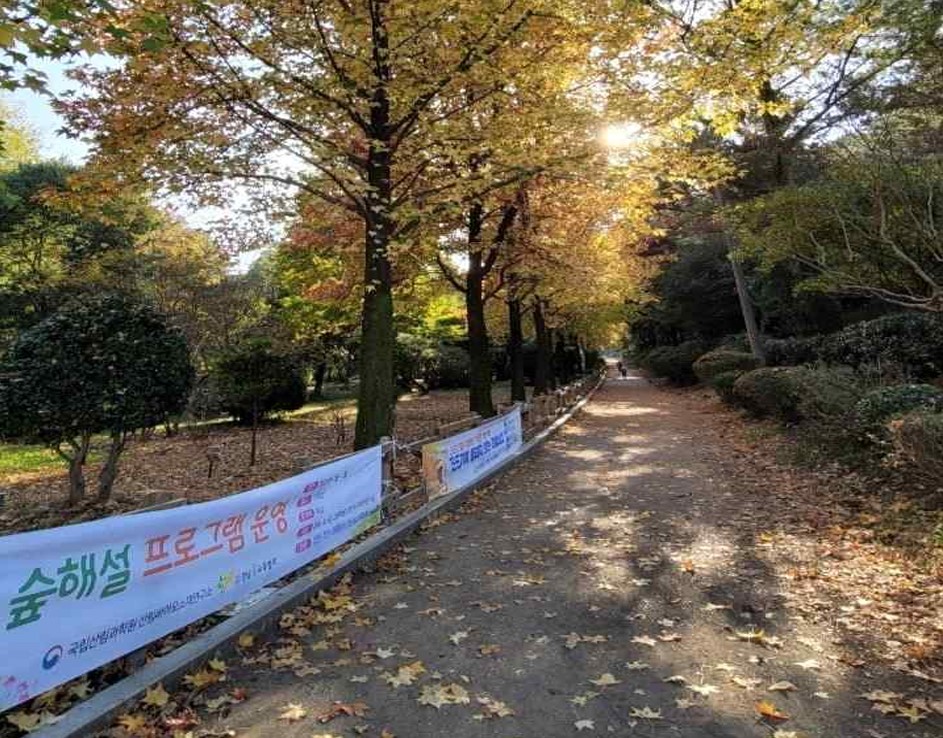 프로그램찾기 이미지