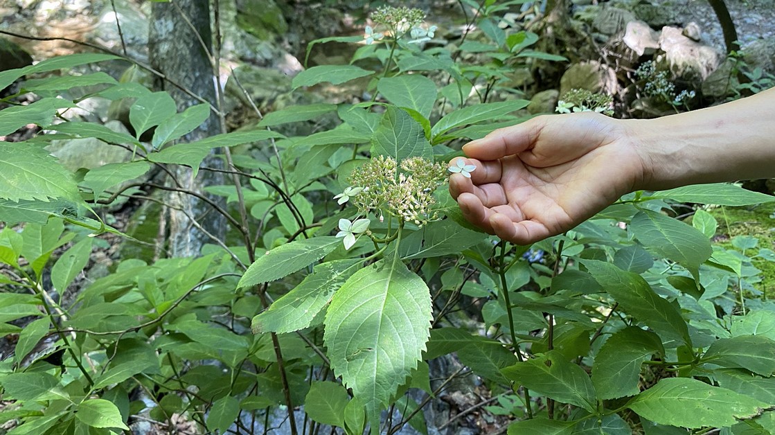 프로그램찾기 이미지