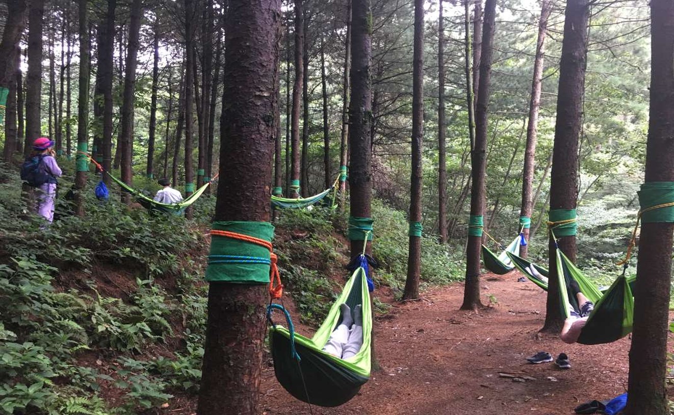 프로그램찾기 이미지